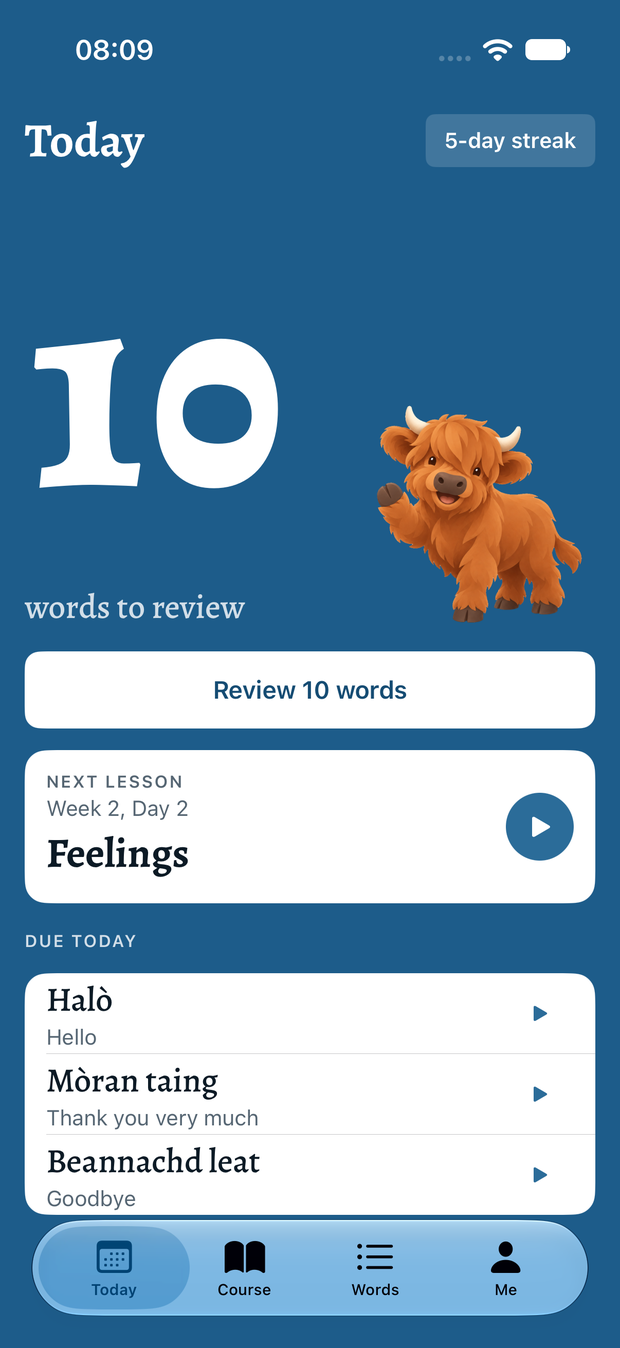 The Today screen with the number of words to review and the next lesson